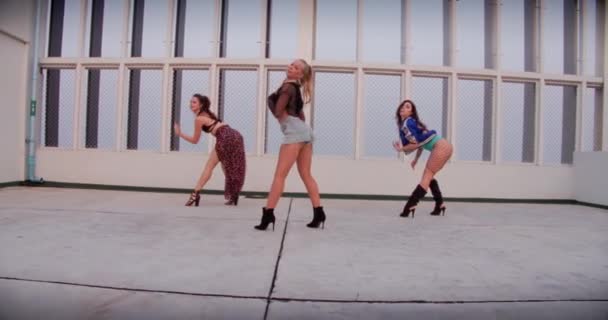 All Girl Dance Crew esibendosi insieme sul tetto — Video Stock