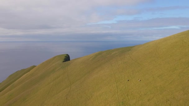 Беспилотник Grass Peak of High Sea Cliff, Hisvord — стоковое видео