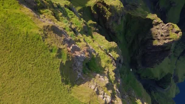 Drone Of High Sea Cliff, Beinisvord — Wideo stockowe