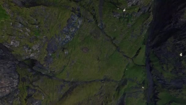 Drone au-dessus de la falaise de haute mer, Beinisvord — Video