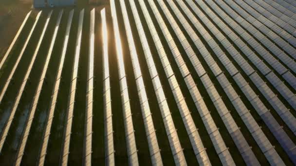 Drönare ovanför solbelysta rader av solpaneler i fält vid solnedgången — Stockvideo