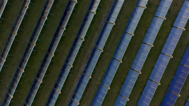 Drönare ovanför blå solpaneler i rad i gräsbevuxen fält — Stockvideo