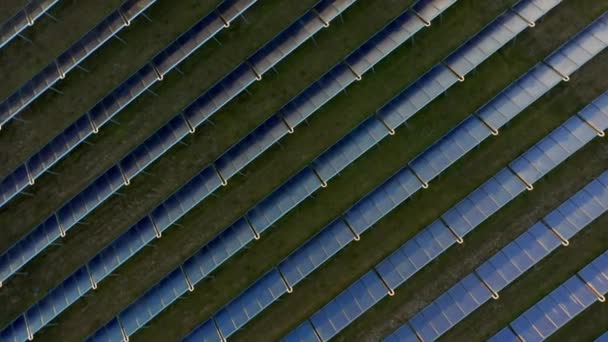 Drone por encima de los paneles solares azules en fila en el campo cubierto de hierba — Vídeos de Stock