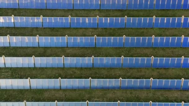 Drone su righe di pannelli solari blu in campo erba — Video Stock