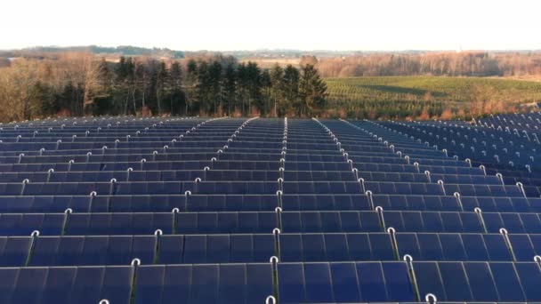 Dron nad rzędami niebieskich paneli słonecznych na polach — Wideo stockowe