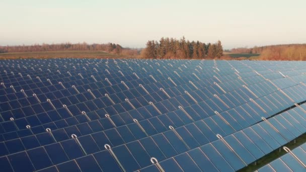 Drone sobre filas de paneles solares azules en campo soleado — Vídeos de Stock