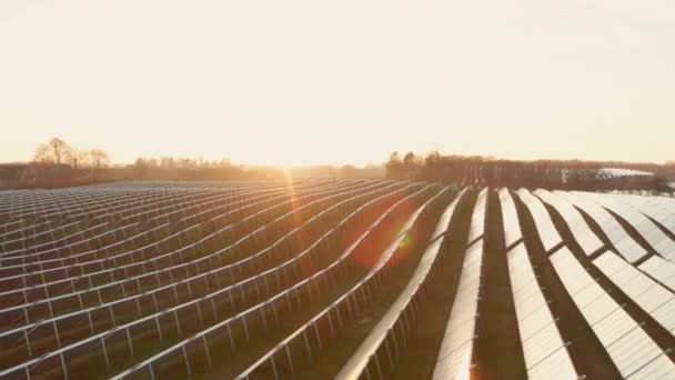 Drone sobre filas de paneles solares iluminados por el sol en el campo — Vídeos de Stock