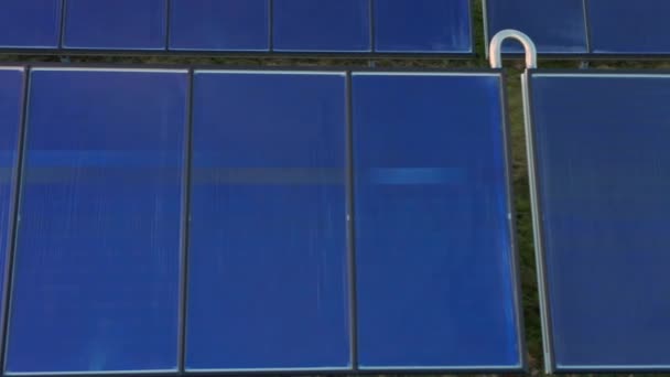 Niebieskie panele słoneczne w rzędzie w polu — Wideo stockowe