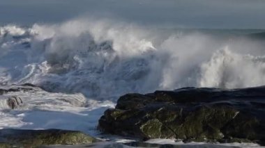Okyanus dalgaları Rocky Shore 'a çarpıyor