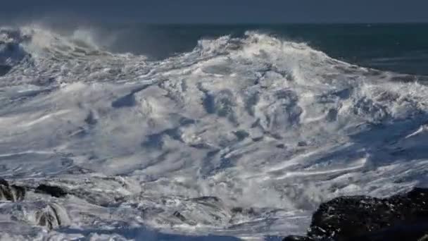 Vagues océaniques s'écrasant sur la côte rocheuse — Video