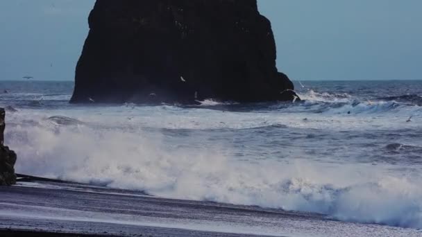 Океанські хвилі біля морського стовпа з чайками, що літають над водою — стокове відео
