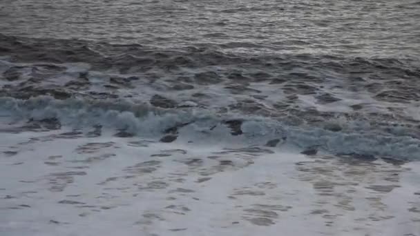 Хвилі розбиваються на пляжі з чорним піском — стокове відео