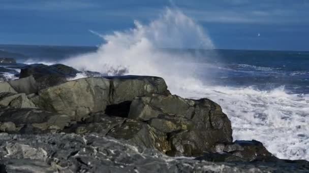 Océano olas estrellándose a costa rocosa — Vídeo de stock