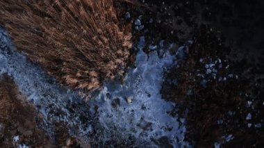 Flensburg 'un Donmuş Körfezinde Sazlığa Karşı İnsansız Hava Aracı