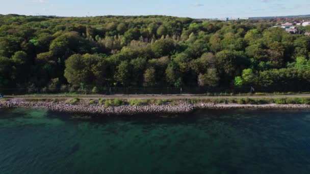 Drone sul treno tra costa e foresta — Video Stock
