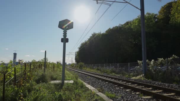 Binario ferroviario accanto alla foresta sotto il cielo blu soleggiato — Video Stock