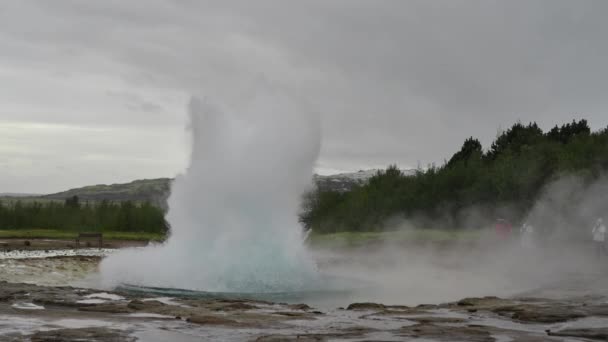 Geyser Erupting In A Spray Of Hot Water And Steam — Stock Video