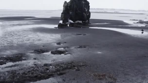 黒砂のビーチでHvitserkur海スタック上のドローン — ストック動画