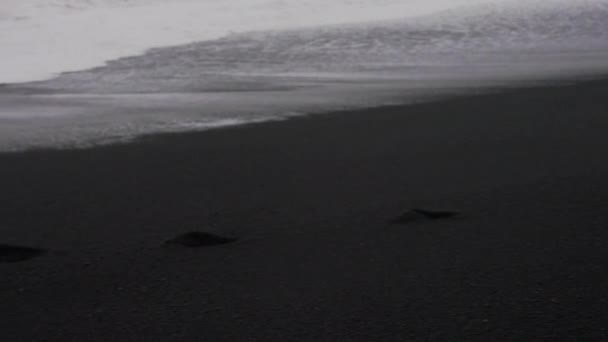 Fotógrafo en playa de arena negra con mar tormentoso — Vídeos de Stock