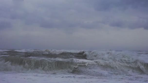 Crash de mer violent et orageux sur la plage de sable noir — Video