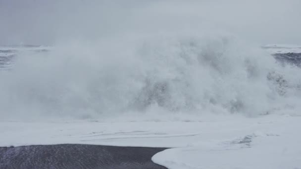 Vagues de tempête blanches s'écrasant sur la plage de sable noir — Video