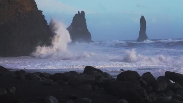 Surf estrellándose en las pilas de mar y en la playa de arena negra — Vídeos de Stock