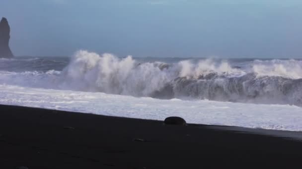 Photographe Sur La Plage De Sable Noir Pour Photographier La Mer Dure — Video