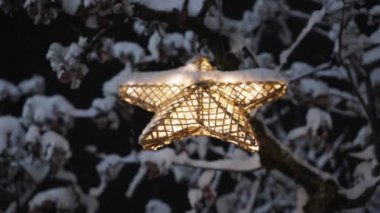 Geceleri karla kaplı ağaçtan sarkan Noel Yıldızı