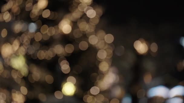 Vánoční hvězda a víla světla na stromech pokryté sněhem — Stock video