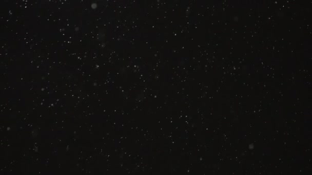 Low Angle Shot Of Snow Falling From Black, Night Sky — Video Stock