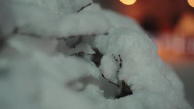 Geceleri şehirde Noel ağacında kar yağar