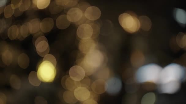 Christmas Star And Fairy Lights On Trees Covered With Snow — Stok video