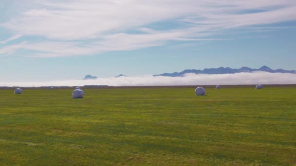 Drone πάνω από πράσινο πεδίο με καλυμμένες μπάλες Hay — Αρχείο Βίντεο