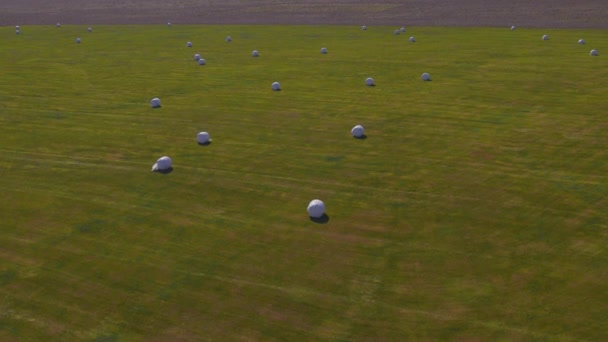 Drone over groen veld met afgedekte hooibalen — Stockvideo