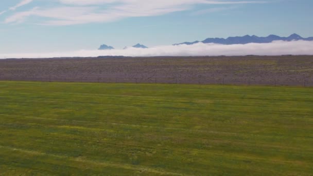 Drone sobre el campo verde para el suelo bajo el cielo azul — Vídeos de Stock