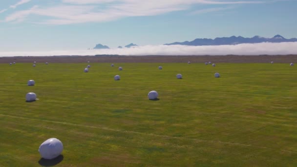 Drone sobre campo verde con balas de heno cubiertas — Vídeos de Stock