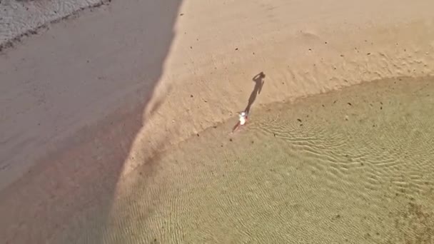 Drone Shot Of Woman เดินไปตามชายหาดที่ซ่อนอยู่ — วีดีโอสต็อก