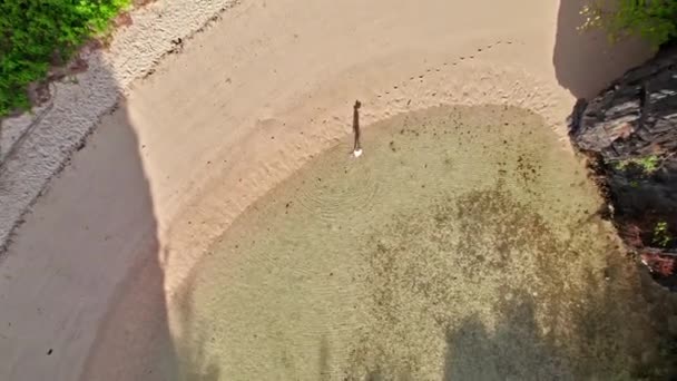 Drone Shot Of Woman Walking Along Hidden Beach — стоковое видео