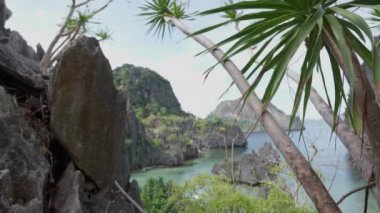 Rocks And Palm Trees On Hidden Beach