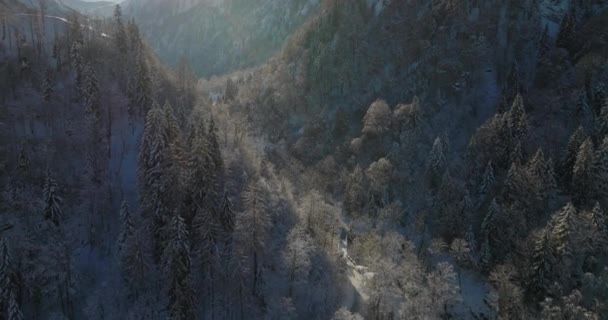 Drone Over Frozen Klammsee Lake In Valley Of Snow Covered Forests — Stock Video