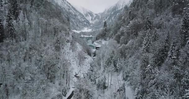 Drone przez pokryte śniegiem lasy w dolinie — Wideo stockowe