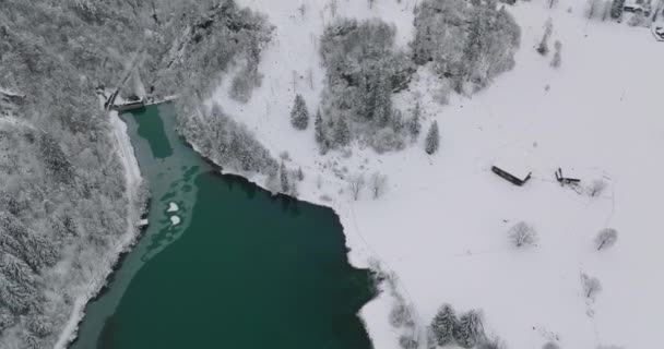 Drone sopra il paesaggio innevato e il lago verde di Klammsee — Video Stock