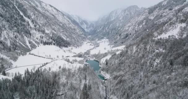 Drone sobre o vale coberto de neve com florestas — Vídeo de Stock
