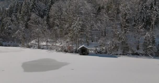 얼어붙은 클라이미 시 호수에 있는 나무 옆에서 목재로 만든 드론 샷 — 비디오