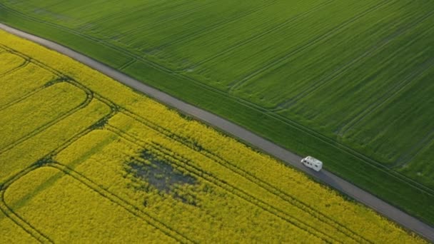 Drone Over Campervan Driving On Road Through Green And Yellow Fields — Stock Video