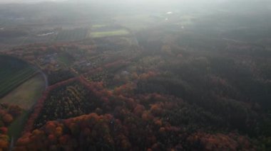 Sisli arazide Yoğun Orman ve Tarlalar Üzerinde İnsansız Hava Aracı