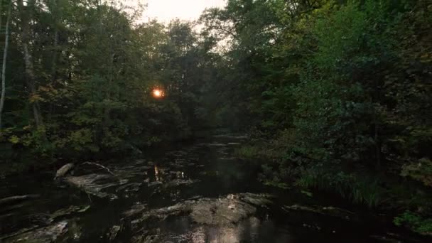 Dron nad jeziorem w bujnej, jesienny las o zachodzie słońca — Wideo stockowe