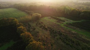 Sonbaharda gün batımında Tarlalarda ve Ormanda İnsansız Hava Aracı