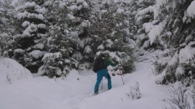 Maiskogel Kayak Tatil Köyü, Kaprun, Avusturya 'daki Karlı Orman' da İnsanların Kayak Turu 'nun Geniş Yavaş Çekimi