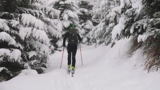 Handheld Wide Slow Motion Shot Man Ski Touring Snow Covered — Vídeo de Stock